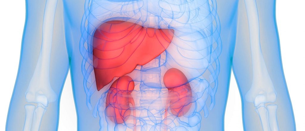 Renal & Liver Function